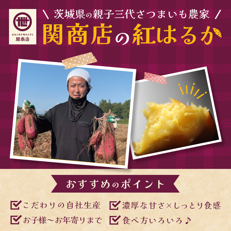 【2026年12月以降順次発送予定】関商店 干し芋平干し 紅はるか 660g（220g×3袋） 国産 茨城県産 砂糖不使用 干し芋 平干し ほしいも 干芋 干しいも べにはるか ベニハルカ 柔らかい しっとり とろあま ダイエット おやつ 62-D