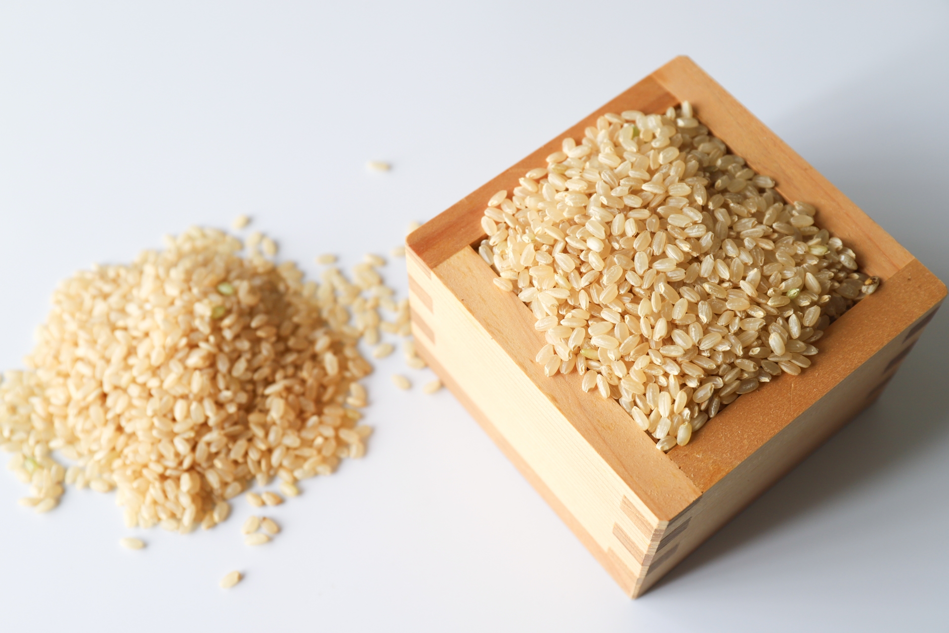 【期間限定】 あきたこまち 玄米 30kg アキタコマチ お米 精米 玄米 白米 ごはん ご飯 単一原料米 茨城県産 美容 健康 69-D ＜2026年7月31日まで受付＞