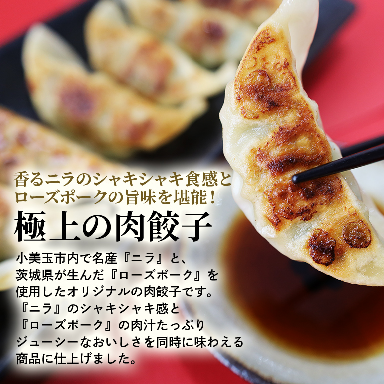 【数量限定】 ニラたっぷり肉餃子 2袋 肉餃子30個×2袋 60個 ぎょうざ ギョウザ 餃子 ニラ にら ローズポーク 豚肉 小美玉産 茨城県産 名産 冷凍 17-U