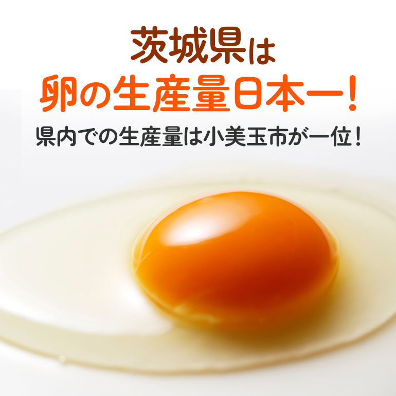 【定期便】鶏卵 計100個 ギフト用化粧箱50個（45＋補償5個）入り ×2回発送 定期便 3週間後 たまご タマゴ 玉子 国産 茨城県産 健康 美容 ご飯 すき焼き 目玉焼き 卵焼き 玉子焼き たまご焼き 15-D