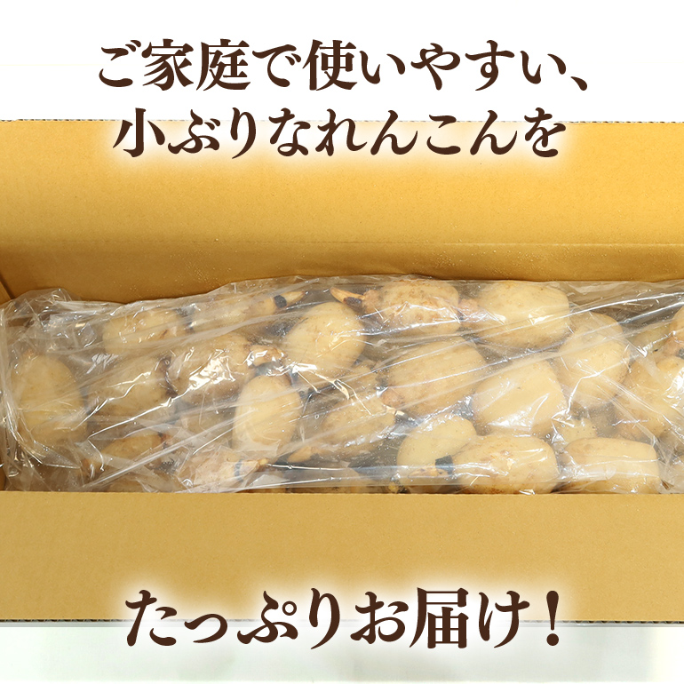 【数量限定・先行予約】ご家庭用ちょっと小さめ れんこん 約4kg れんこん レンコン 蓮根 茨城 国産 お正月 おせち 野菜 17-AF ＜11月中旬〜12月上旬発送予定＞