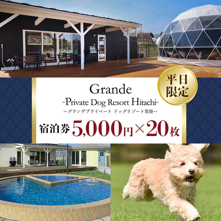 グランデ プライベート ドッグリゾート常陸宿泊券 5,000円×20枚（平日限定） 愛犬 ペットOK ドッグラン プール 温泉 サウナ ホテル チケット 宿泊 旅行 宿泊券 旅行券 72-E