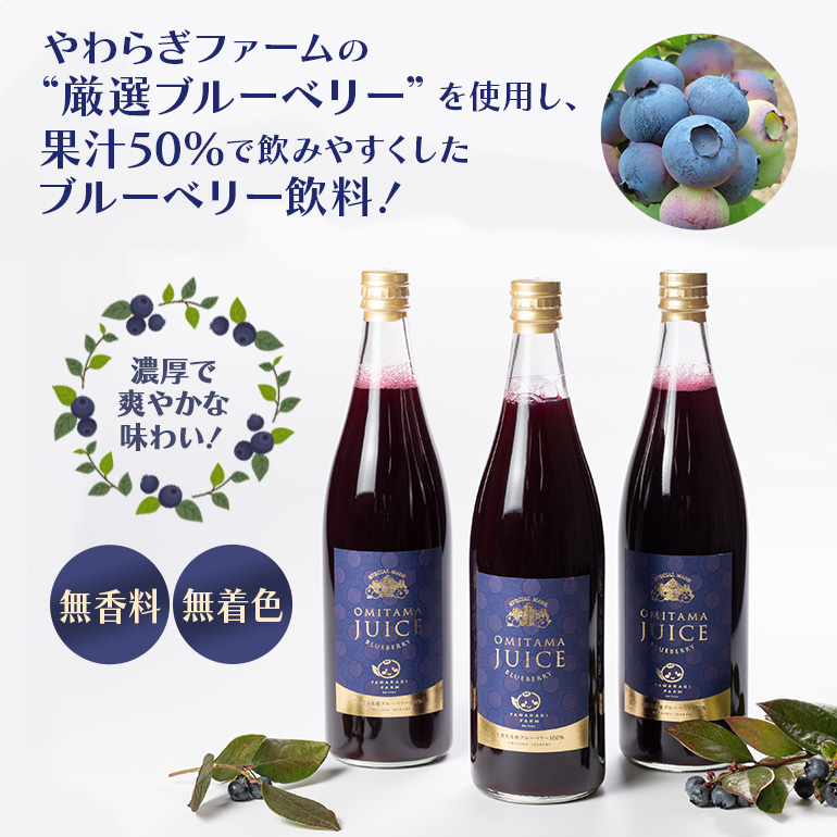 果汁50％ブルーベリー飲料3本セット ブルーベリー ブルーベリー飲料 フルーツ 果物 フルーツジュース ジュース ビタミンE アントシアニン 栄養 目にいい 健康 美容 瞳の健康 ギフト 贈り物 茨城県産 人気 プレゼント セット ドリンク ９−Ａ