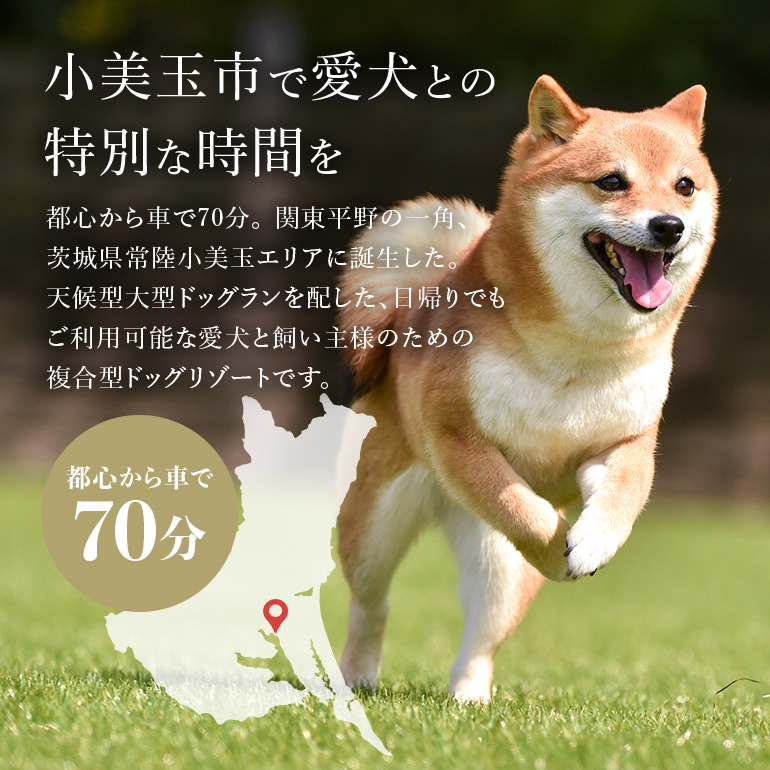 グランデ プライベート ドッグリゾート常陸宿泊券 5,000円×20枚（平日限定） 愛犬 ペットOK ドッグラン プール 温泉 サウナ ホテル チケット 宿泊 旅行 宿泊券 旅行券 72-E