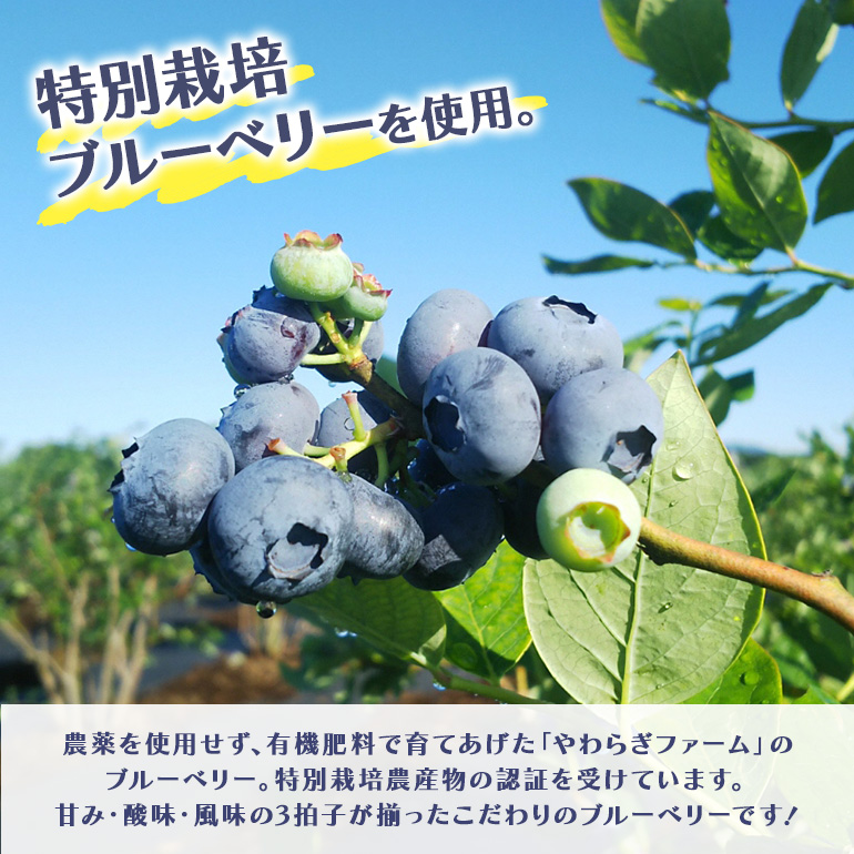 果汁50％ブルーベリー飲料2本セット ブルーベリー ブルーベリー飲料 フルーツ 果物 フルーツジュース ジュース ビタミンE アントシアニン 栄養 目にいい 健康 美容 瞳の健康 ギフト 贈り物 茨城県産 人気 プレゼント セット ドリンク ９−Ｌ