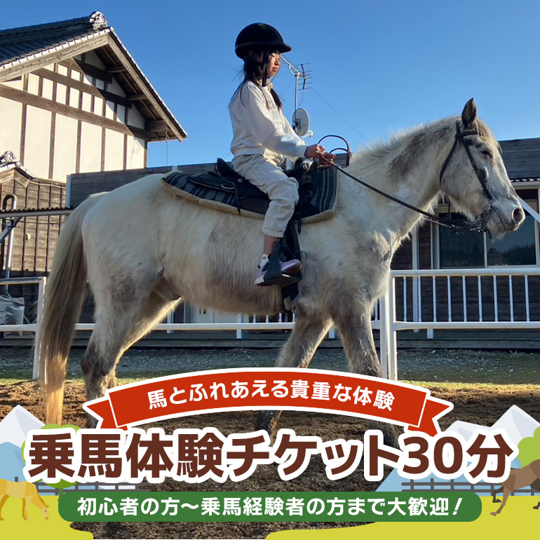 ★ROCKY★ 乗馬体験チケット 30分 体験 チケット 券 乗馬 馬 うま ウマ 子供 大人 初心者 経験者 歓迎 92-B