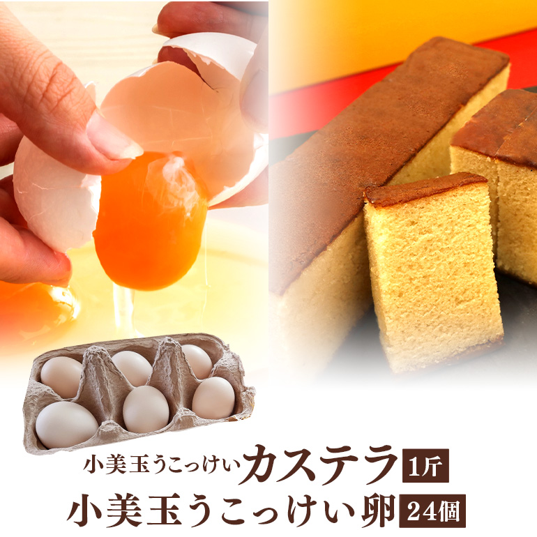 小美玉カステラとうこっけい卵24個（20＋補償4個）セット カステラ かすてら 烏骨鶏 卵 うこっけい 鶏卵 高級卵 高級 たまご 玉子 烏骨鶏の卵 国産 ギフト スイーツ 焼菓子 御贈答 お返し 安全 マニアさん 健康 美容 目玉焼き 卵焼き 卵かけごはん TKG 37-M
