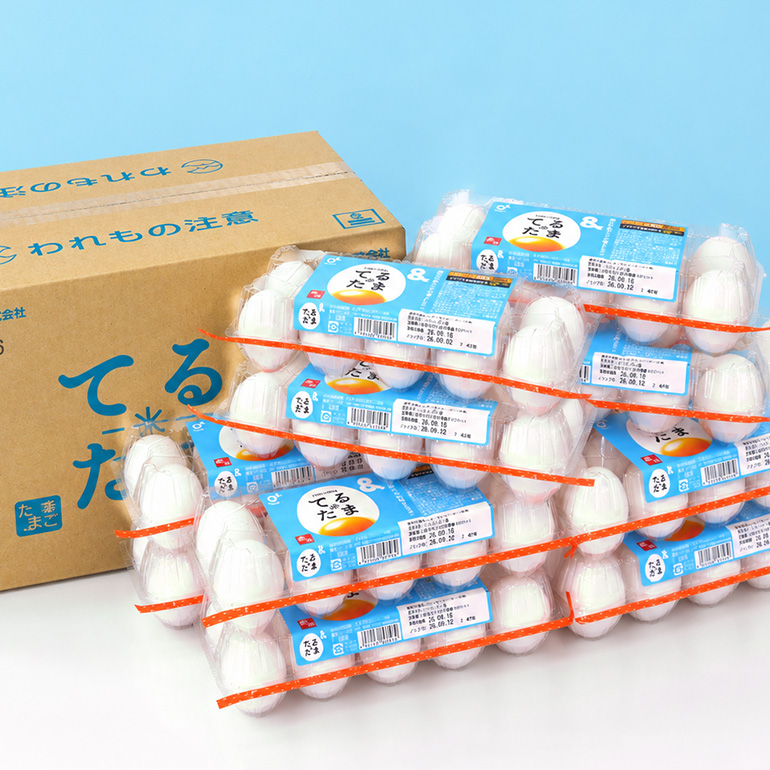 6か月定期 てるたま 10個入×11パック（割れ保障1パックサービス） てるたま 新鮮 鶏卵 玉子 卵かけご飯 卵かけごはん たまごかけご飯 卵焼き たまご焼き 玉子焼き 目玉焼き ゆで卵 栄養 22-L