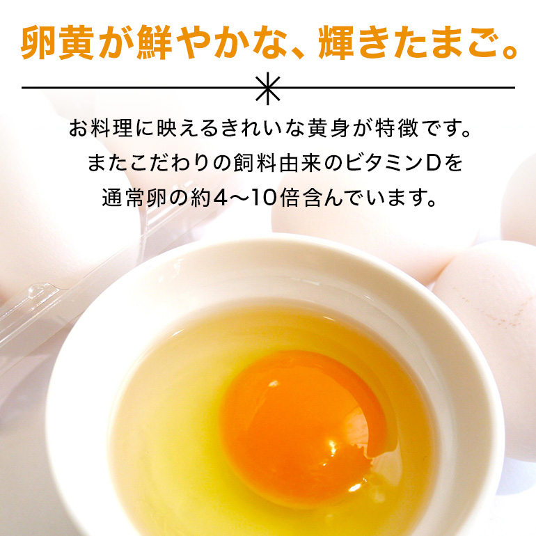 6か月定期 てるたま 10個入×11パック（割れ保障1パックサービス） てるたま 新鮮 鶏卵 玉子 卵かけご飯 卵かけごはん たまごかけご飯 卵焼き たまご焼き 玉子焼き 目玉焼き ゆで卵 栄養 22-L