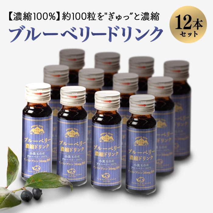 濃縮100％ブルーベリードリンク ブルーベリー ブルーベリー飲料 フルーツ 果物 フルーツジュース ジュース ビタミンE アントシアニン 栄養 目にいい 健康 美容 瞳の健康 ギフト 贈り物 茨城県産 人気 プレゼント セット ドリンク 濃厚 濃縮 ９−Ｅ