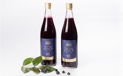 果汁50％ブルーベリー飲料2本セット ブルーベリー ブルーベリー飲料 フルーツ 果物 フルーツジュース ジュース ビタミンE アントシアニン 栄養 目にいい 健康 美容 瞳の健康 ギフト 贈り物 茨城県産 人気 プレゼント セット ドリンク ９−Ｌ