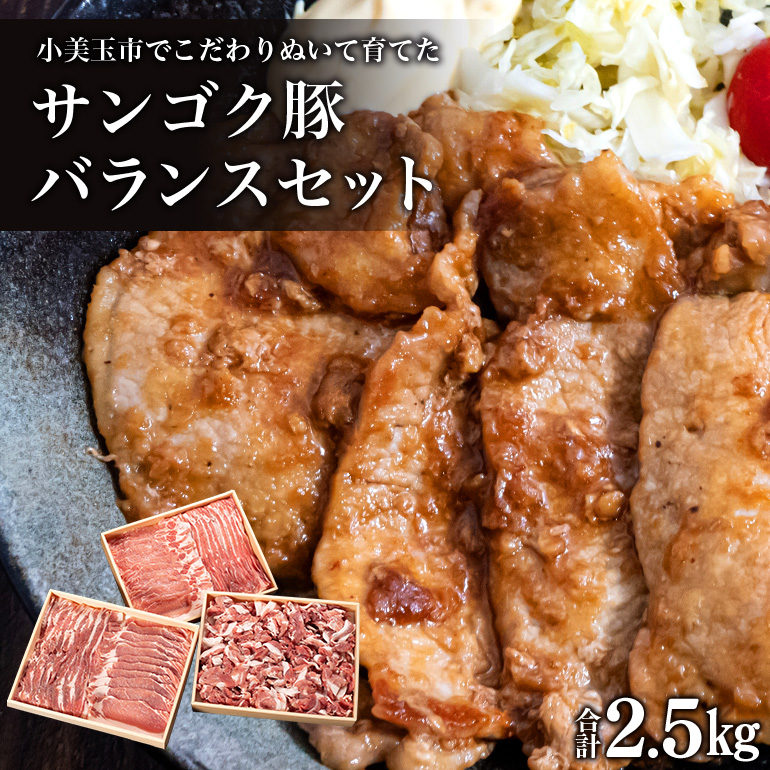 サンゴク豚（バランスセット） 合計2.5kg しゃぶしゃぶ 焼き肉 豚肉 豚バラ肉 ロース 小分け 真空パック しゃぶしゃぶ肉 焼肉用 ブタ肉 国産 茨城県産 ギフト プレゼント 高級部位 2-B