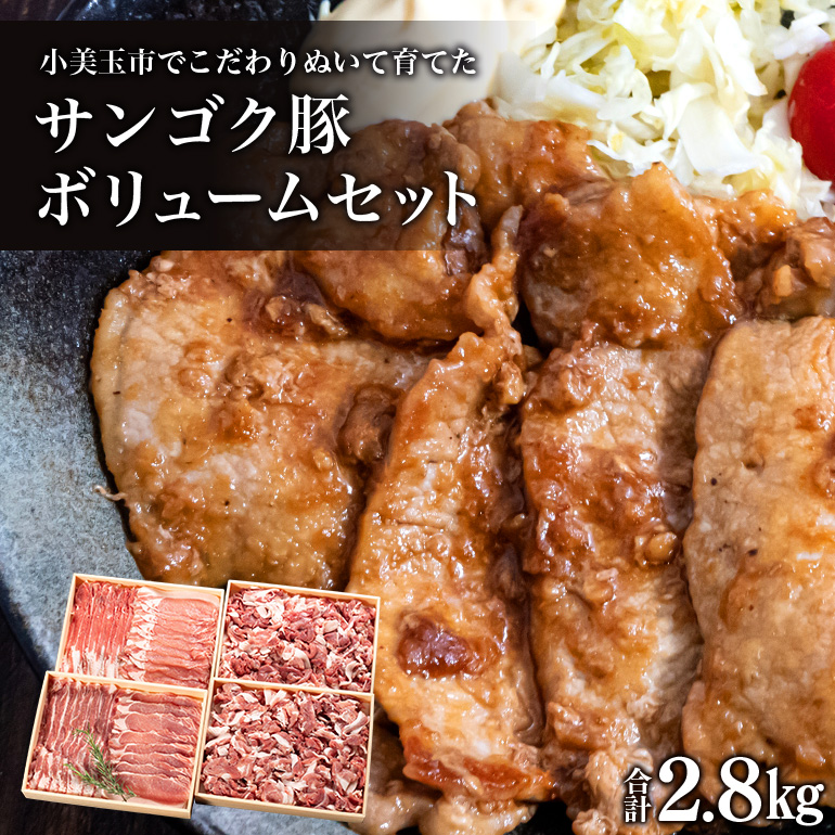 サンゴク豚（ボリュームセット） 合計2.8kg しゃぶしゃぶ 焼き肉 豚肉 豚バラ肉 ロース 小分け 真空パック しゃぶしゃぶ肉 焼肉用 ブタ肉 国産 茨城県産 ギフト プレゼント 冷蔵 高級部位 2-C