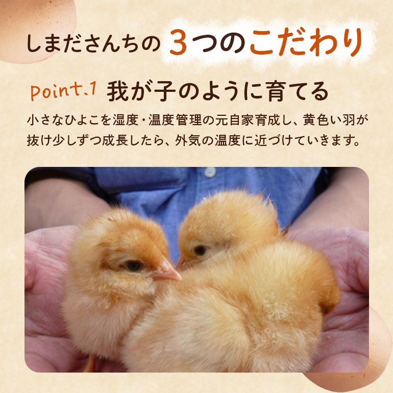 しまださんちのたまご 30個 (27個＋割れ補償3個) 鶏卵 卵 たまご タマゴ 玉子 こだわり 安心 安全 無着色 非遺伝子組換 健康 美容 ご飯 ごはん 68-A