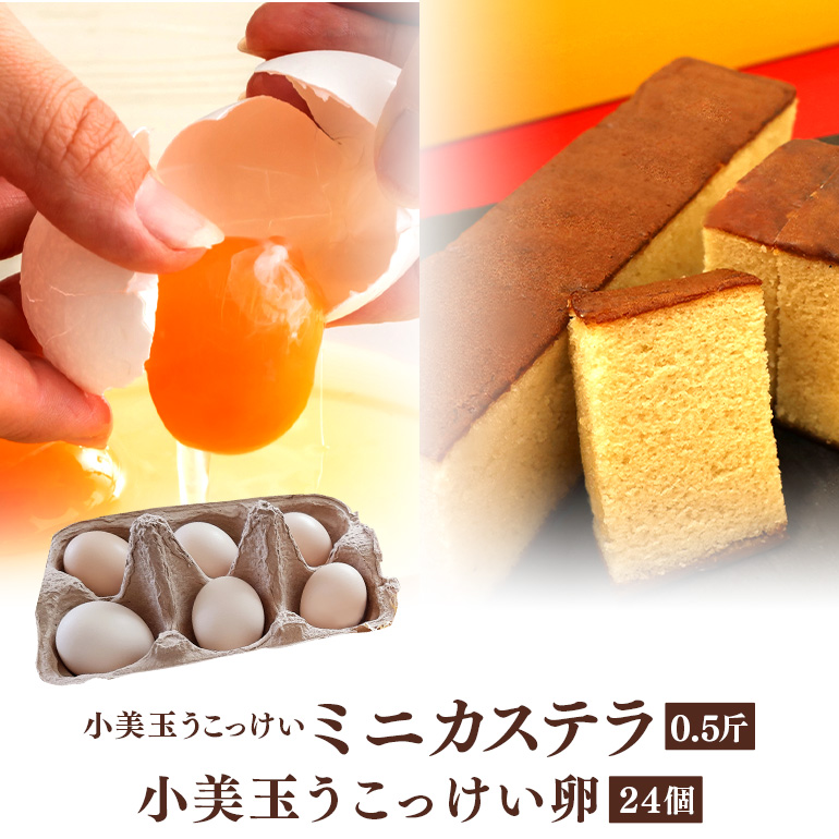 小美玉ミニカステラとうこっけい卵24個（20＋補償4個）セット カステラ かすてら 烏骨鶏 卵 うこっけい 鶏卵 高級卵 高級 国産 ギフト スイーツ 焼菓子 御贈答 お返し たまご 玉子 烏骨鶏の卵 安全 マニアさん 健康 美容 卵焼き 卵かけごはん TKG 37-N