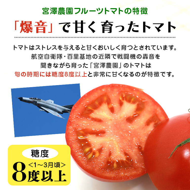 【数量限定 先行予約】＜2026年12月以降出荷開始予定＞ 爆音トマトと呼ばれるフルーツトマト「百里百」 2kg 甘い 酸味 肉厚 大玉 産地直送 とまと 健康 リコピン 百里基地 戦闘機 国産 茨城県 小美玉市 直売所 水耕栽培 野菜 やさい 13-E
