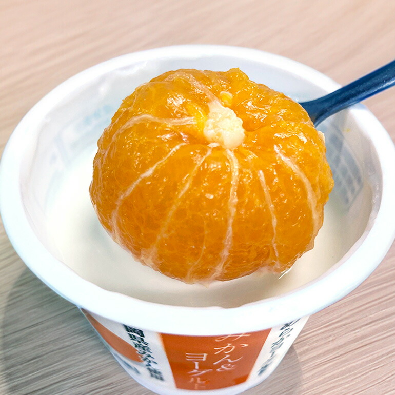 【3回定期便】まるごとみかんヨーグルト 100g×10個 ヨーグルト みかん まるごと 定期便 朝食 朝ごはん 朝活 乳製品 低糖 低カロリー ギフト 誕生日 内祝い スイーツ 腸活 善玉菌 善玉菌ケア 菌活 乳酸菌 1-T