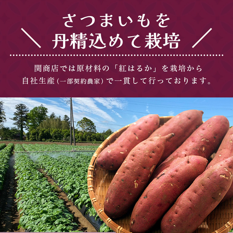 【期間限定】 関商店 焼き芋 紅はるか 1.5kg 国産 茨城県産 砂糖不使用 焼き芋 やきいも 焼芋 焼きいも べにはるか ベニハルカ 甘い 柔らかい 安心 安全 品質 食味 おやつ 62-G ＜2027年4月20日まで受付＞