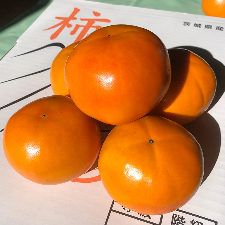 【数量限定・先行予約】 富有柿 L 16玉 《11月13日〜12月10日発送予定》 柿 かき カキ 果物 くだもの フルーツ（石岡市 小美玉市 共通返礼品）67-A