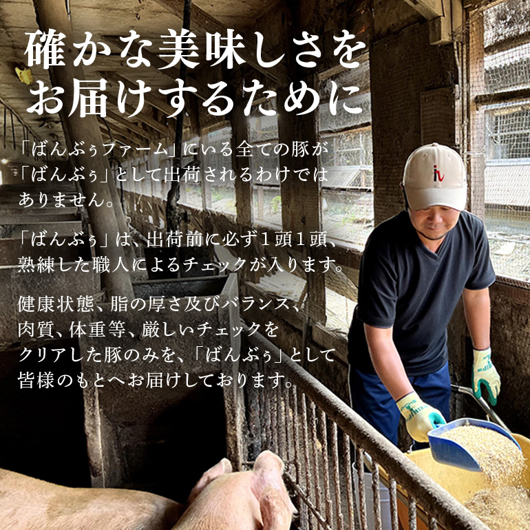 【定期便12ヶ月】ブランド豚「ばんぶぅ」ステーキセット（計1.5kg） 定期便 ばんぶぅ 豚肉 ロース ブロック肉 ロース ブロック 肩ロース ステーキ リブロース ソテー 真空パック ステーキ用 ソテー用 ぶた肉 ブタ肉 国産 茨城県産 ギフト プレゼント 冷蔵 高級部位 ブランド豚 42-CU