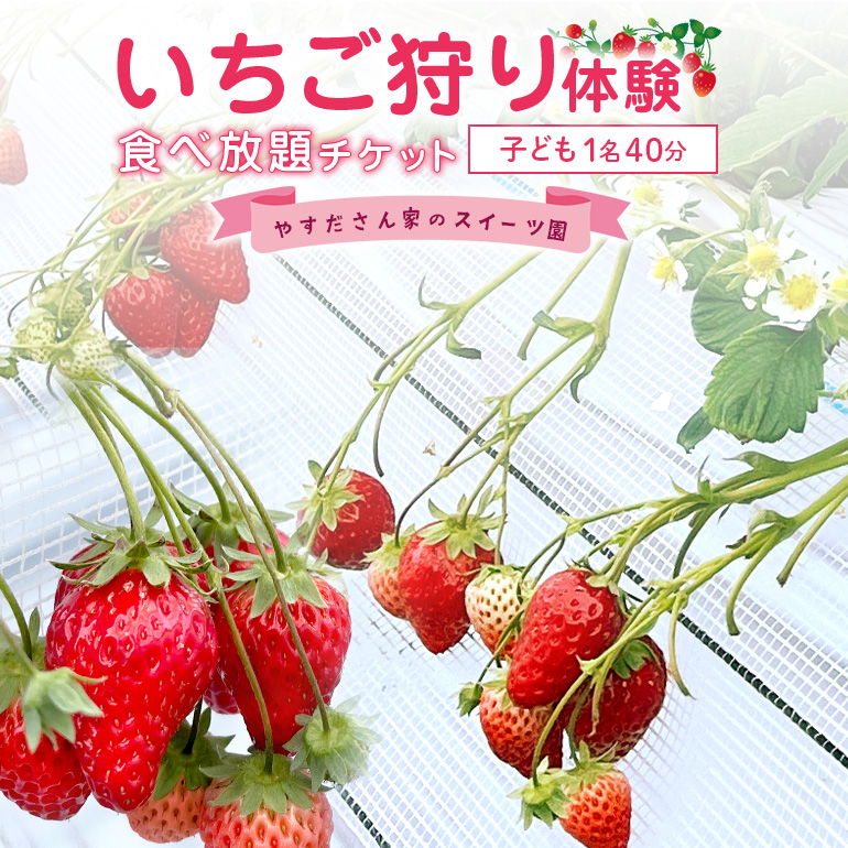 やすださん家のスイーツ園 いちご食べ放題 子ども1名（4歳以上小学生以下）40分食べ放題チケット イチゴ 苺 いちご いちご狩り 食べ放題 フルーツ 果物 フルーツ狩り チケット 体験 茨城県 楽しい 季節 農園 果物狩り 味覚狩り 19-H