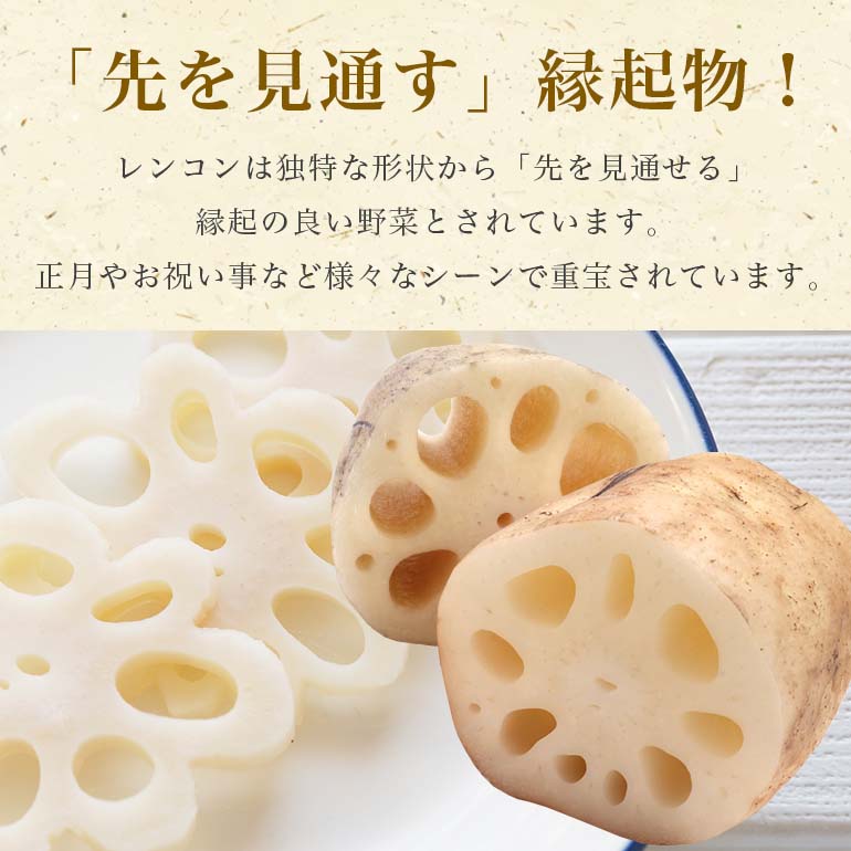 【 冬季限定 贈答用 】 野口誠の蓮根 約4kg れんこん レンコン 蓮根 野菜 国産 期間限定 57-B
