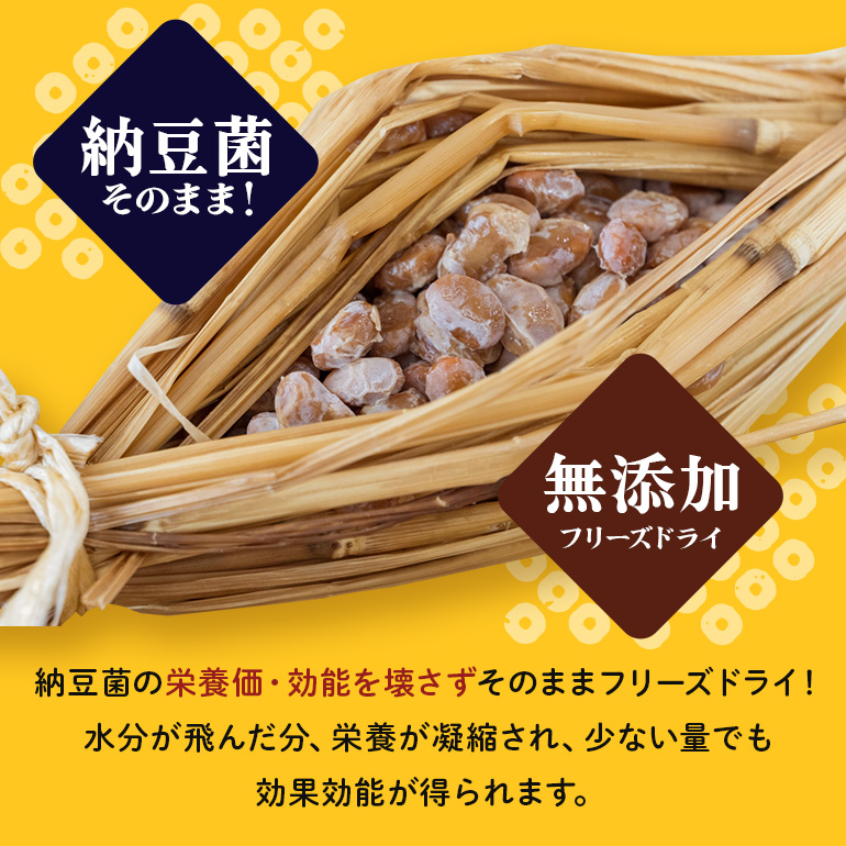どらい納豆詰合わせセット 10種 詰め合わせ ドライ納豆 乾燥納豆 干し納豆 ダイエット ギフト 納豆ふりかけ 国産 おつまみ おやつ お菓子 おかし スナック タンパク質 たんぱく質 小腹 ドライなっとう 常温 4-A