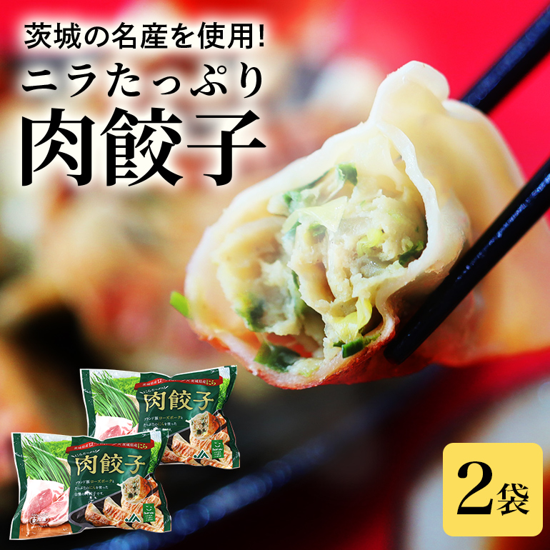 【数量限定】 ニラたっぷり肉餃子 2袋 肉餃子30個×2袋 60個 ぎょうざ ギョウザ 餃子 ニラ にら ローズポーク 豚肉 小美玉産 茨城県産 名産 冷凍 17-U