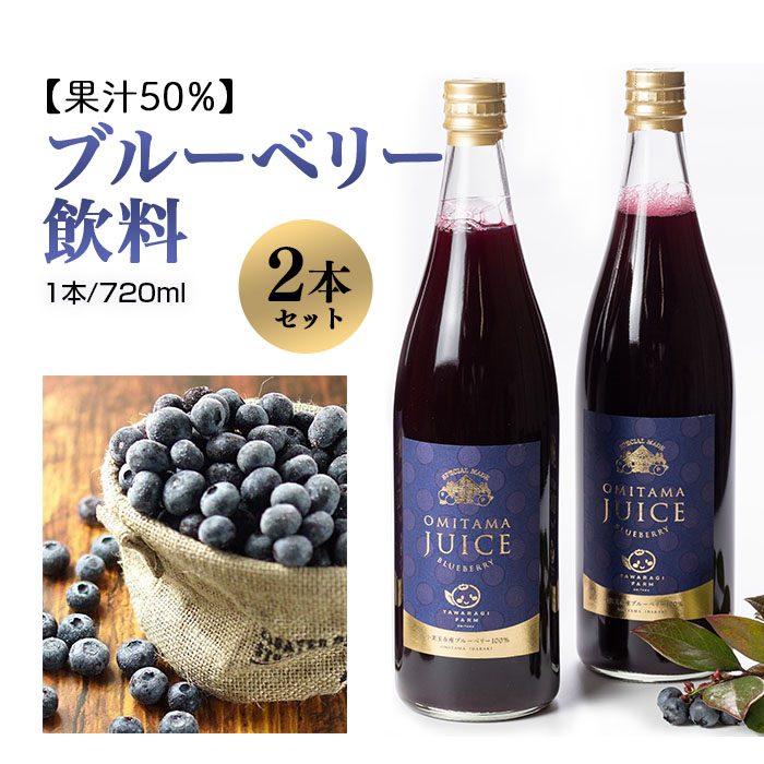 果汁50％ブルーベリー飲料2本セット ブルーベリー ブルーベリー飲料 フルーツ 果物 フルーツジュース ジュース ビタミンE アントシアニン 栄養 目にいい 健康 美容 瞳の健康 ギフト 贈り物 茨城県産 人気 プレゼント セット ドリンク ９−Ｌ