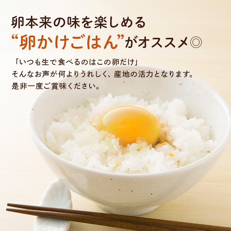 しまださんちのたまご 30個 (27個＋割れ補償3個) 鶏卵 卵 たまご タマゴ 玉子 こだわり 安心 安全 無着色 非遺伝子組換 健康 美容 ご飯 ごはん 68-A