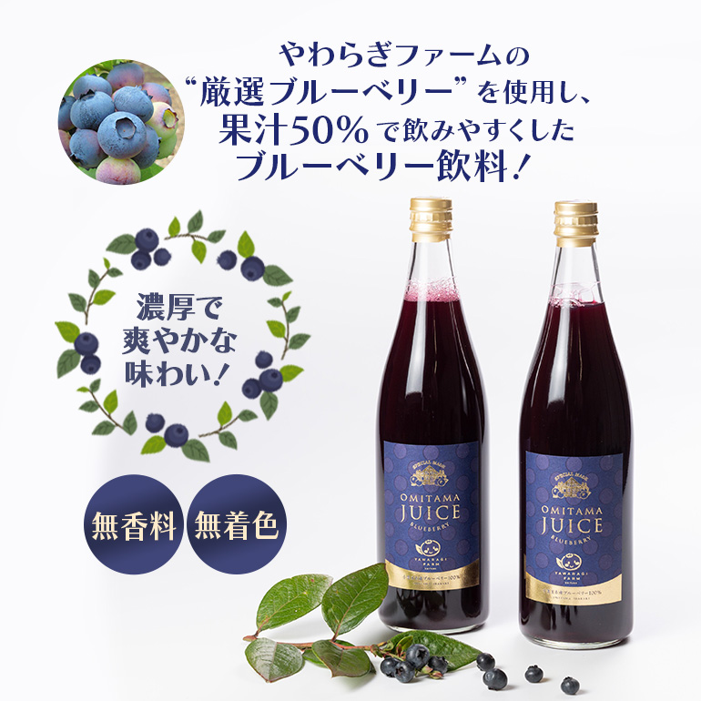 果汁50％ブルーベリー飲料2本セット ブルーベリー ブルーベリー飲料 フルーツ 果物 フルーツジュース ジュース ビタミンE アントシアニン 栄養 目にいい 健康 美容 瞳の健康 ギフト 贈り物 茨城県産 人気 プレゼント セット ドリンク ９−Ｌ