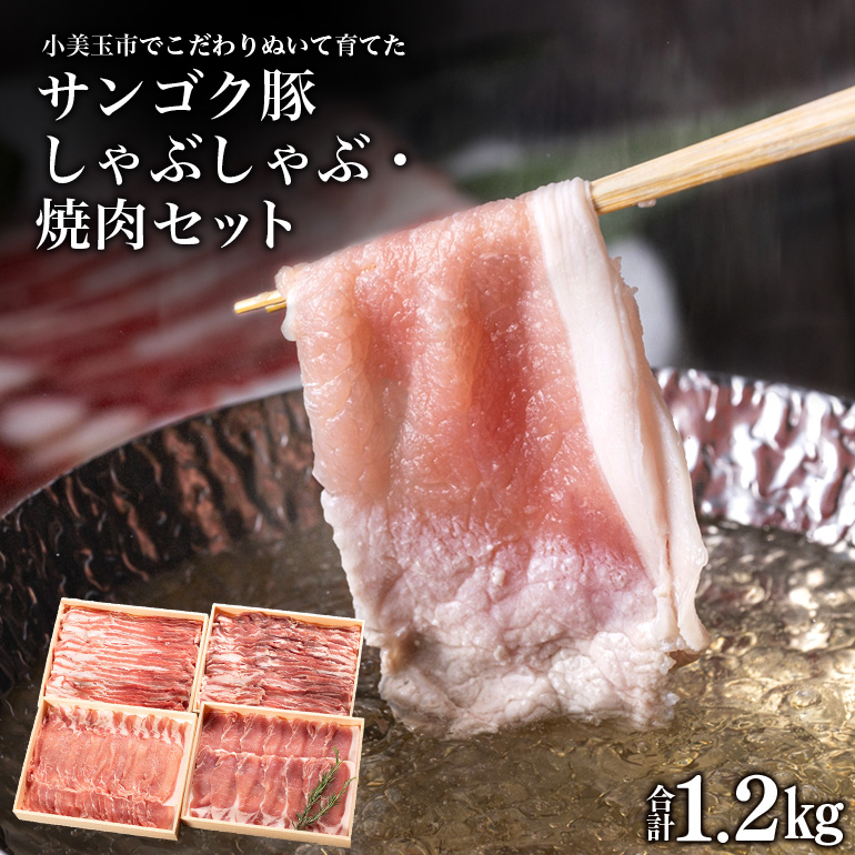 サンゴク豚 しゃぶしゃぶ・焼き肉セット 1.2kg 豚肉 豚バラ肉 ロース 小分け 真空パック しゃぶしゃぶ肉 焼肉用 1.2キロ 1200g ブタ肉 国産 茨城県産 ギフトプレゼント 高級部位 贈り物 贈答用 内祝い ２-Ｋ