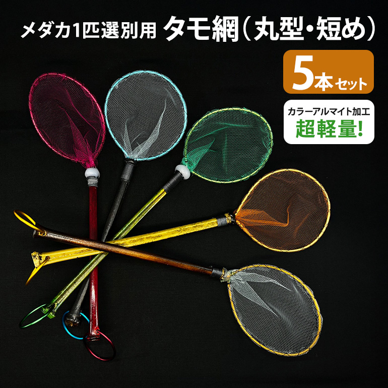 メダカ1匹選別用 タモ網（丸型・短め） 5本セット メダカ タモ 網 セット めだか タモ網 手作り 天然素材 高品質 軽量 耐久 飼育 83-H