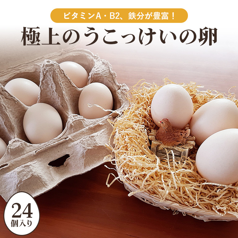 平飼い極上のうこっけいの卵　24個（20＋補償4個） たまご タマゴ 玉子 烏骨鶏 烏骨鶏の卵 安全 テレビ TV マニアさん 健康 美容 ご飯 すき焼き 目玉焼き 卵焼き 玉子焼き たまご焼き 卵かけご飯 卵かけごはん TKG 卵 37-A