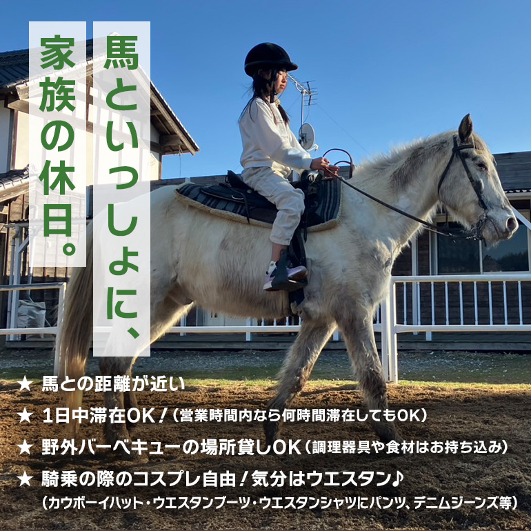 ★ROCKY★ 引馬体験チケット 10分 体験 チケット 券 引馬 馬 うま ウマ 子供 大人 初心者 経験者 歓迎 92-A