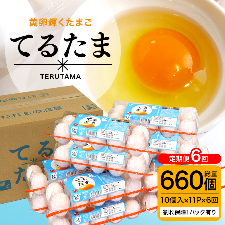 6か月定期 てるたま 10個入×11パック（割れ保障1パックサービス） てるたま 新鮮 鶏卵 玉子 卵かけご飯 卵かけごはん たまごかけご飯 卵焼き たまご焼き 玉子焼き 目玉焼き ゆで卵 栄養 22-L