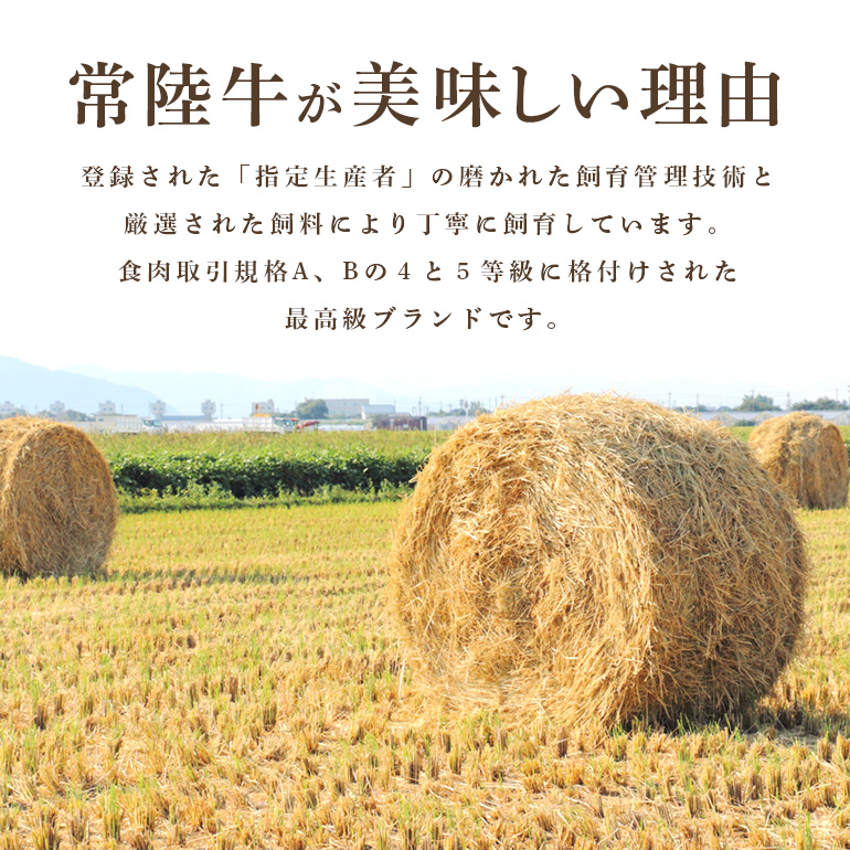 【1年定期便】 常陸牛 年間定期便 すき焼き すき焼 しゃぶしゃぶ ハンバーグ サーロインステーキ ローストビーフ 焼き肉セット 焼肉 ランプステーキ A5ランク 和牛 黒毛和牛 【茨城県共通返礼品】 58-D