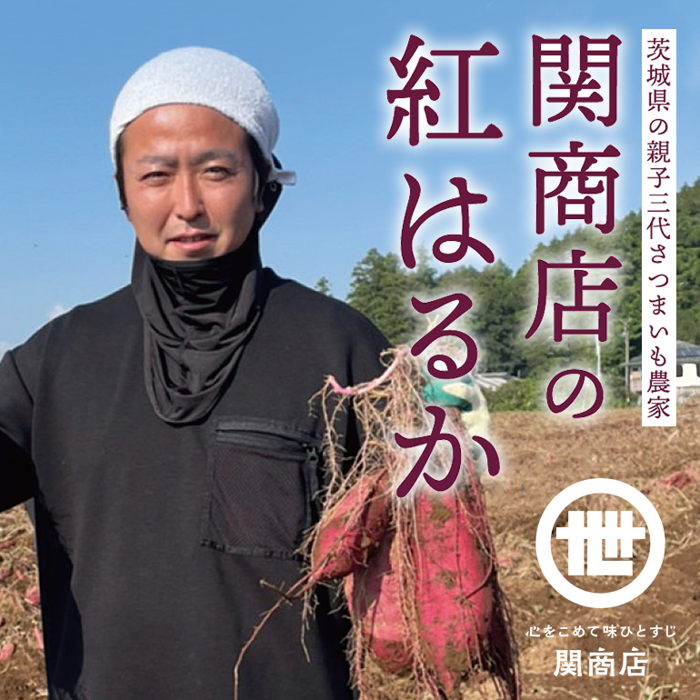 【期間限定】 関商店 焼き芋 紅はるか 1.5kg 国産 茨城県産 砂糖不使用 焼き芋 やきいも 焼芋 焼きいも べにはるか ベニハルカ 甘い 柔らかい 安心 安全 品質 食味 おやつ 62-G ＜2027年4月20日まで受付＞