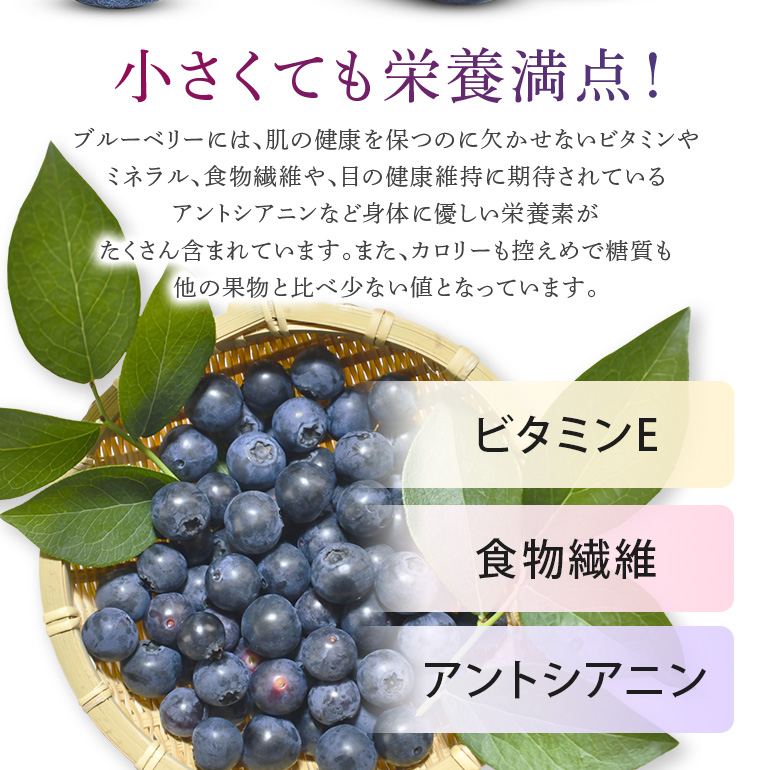 《数量限定・期間限定》 【アイの玉】毎日！朝摘み生ブルーベリー(2L) 数量限定 期間限定 ブルーベリー フルーツ 果物 くだもの 冷蔵 大粒 新鮮 生果 国産 73-A 【2026年6月15日より順次発送予定・7月31日に受付終了】
