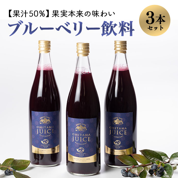 果汁50％ブルーベリー飲料3本セット ブルーベリー ブルーベリー飲料 フルーツ 果物 フルーツジュース ジュース ビタミンE アントシアニン 栄養 目にいい 健康 美容 瞳の健康 ギフト 贈り物 茨城県産 人気 プレゼント セット ドリンク ９−Ａ