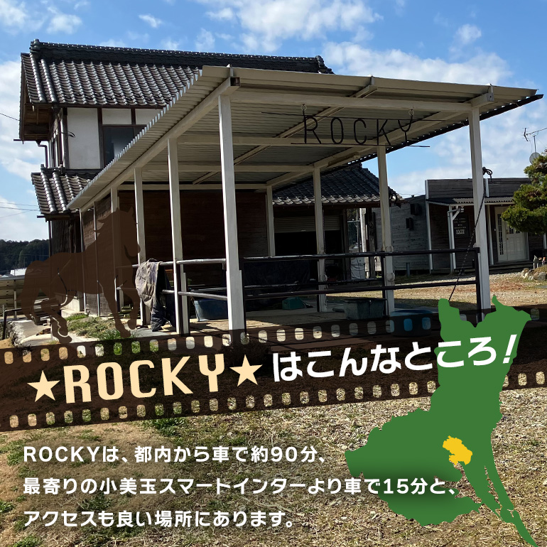★ROCKY★ 引馬体験チケット 10分 体験 チケット 券 引馬 馬 うま ウマ 子供 大人 初心者 経験者 歓迎 92-A