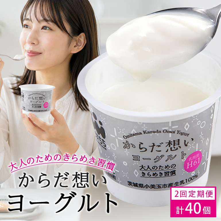 【定期便2回】 H61乳酸菌『からだ想いヨーグルト』20個×2回 ヨーグルト H61乳酸菌 敬老の日 御見舞い 自宅待機 食品 お取り寄せ ギフト 詰め合わせ プチギフト 誕生日 内祝い 1-C