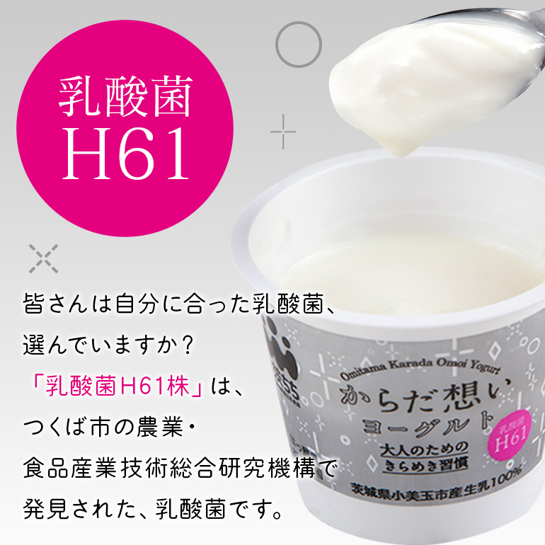 【定期便4回】 H61乳酸菌『からだ想いヨーグルト』20個×4回 ヨーグルト H61乳酸菌 敬老の日 御見舞い 自宅待機 食品 お取り寄せ ギフト 詰め合わせ プチギフト 誕生日 内祝い 1-O