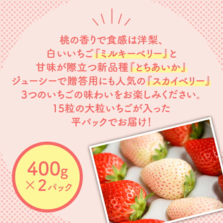 満足3種食べ比べセット（ミルキーベリー、スカイベリー、とちあいか）400g×2パック 800g｜いちご イチゴ 苺 先行予約 栃木県 果物 くだもの フルーツ とちあいか スカイベリー ミルキーベリー 新鮮  贈答 ギフト 高級 食べ比べ ※2026年2月上旬?4月下旬頃に順次発送予定
