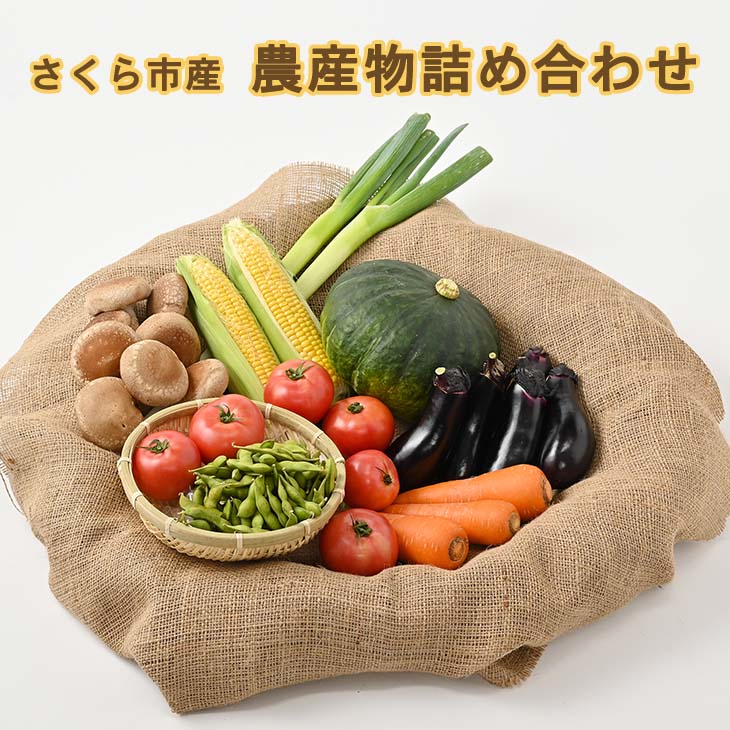 さくら市産の農産物詰め合わせ≪野菜 新鮮 国産 栃木県≫