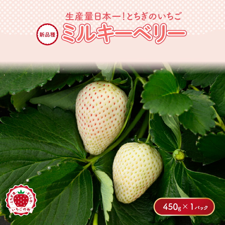 【先行予約】いちご ミルキーベリーセット 450g×1パック ｜いちご イチゴ 苺 先行予約 栃木県 果物 くだもの フルーツ ミルキーベリー 新鮮 贈答 ギフト 高級  ※2026年1月中旬?4月中旬頃に順次発送予定