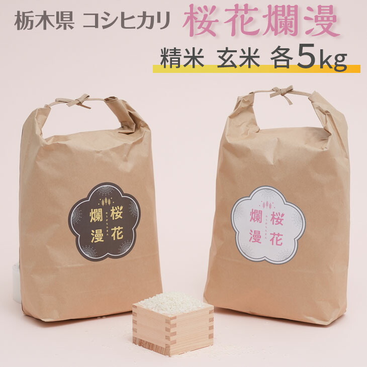 栃木県コシヒカリ 「桜花爛漫」 精米 玄米 各5kg 合計10kg 【ご飯 お米 コメ コシヒカリ 栃木県産 さくら市産】 ※北海道・沖縄・離島への配送不可 ※着日指定不可