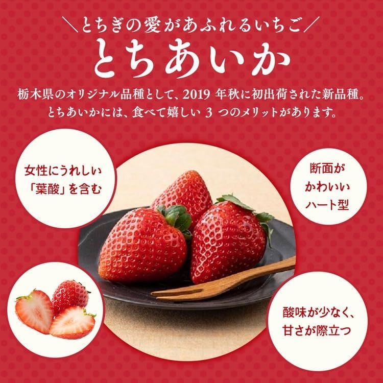 栃木おいしい会のいちご（とちあいか）260g×8パック（2080g）｜栃木県共通返礼品 栃木県産 ※2027年1月～発送