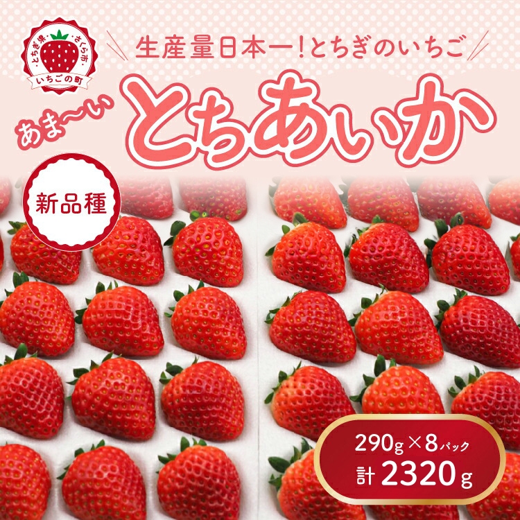 【先行予約】【数量限定】とちあいか 290g×8パック｜いちご イチゴ 苺 先行予約 栃木県 果物 くだもの フルーツ とちあいか 新鮮 贈答 ギフト 食べ比べ 真空パック ※2026年11月～発送