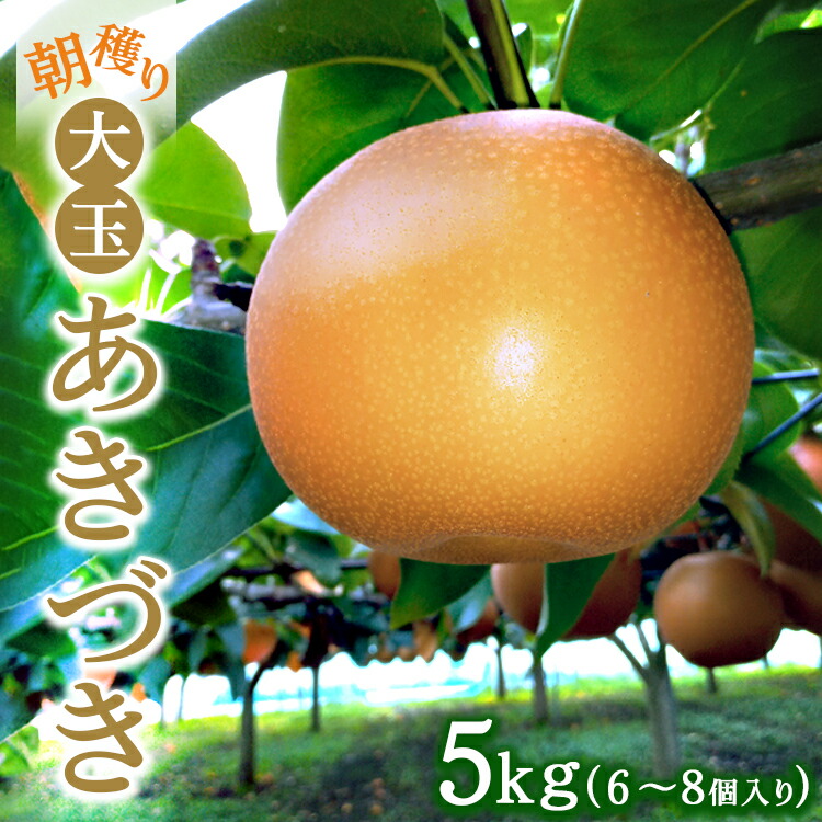 朝穫り 大玉【あきづき】5kg 6個?8個入り【9月15日受付終了】 梨 なし フルーツ 果物 数量限定 ※2025年9月中旬?9月下旬頃に順次発送予定 ※離島・沖縄への配送不可